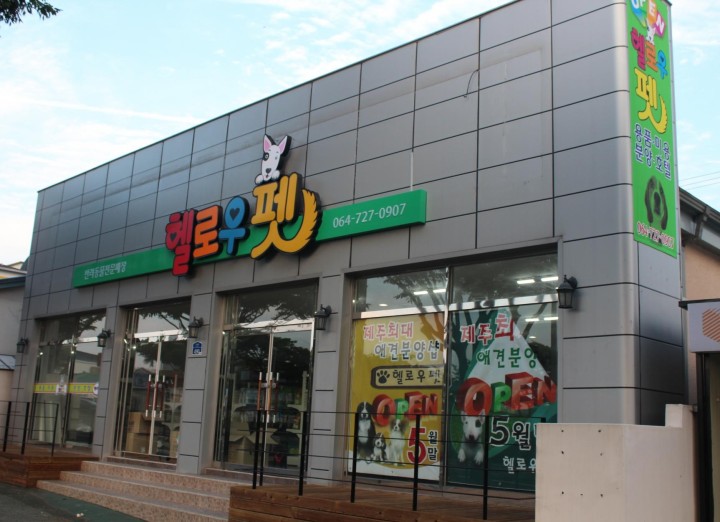 소개 | 제주애견분양 소개 | 제주애견분양