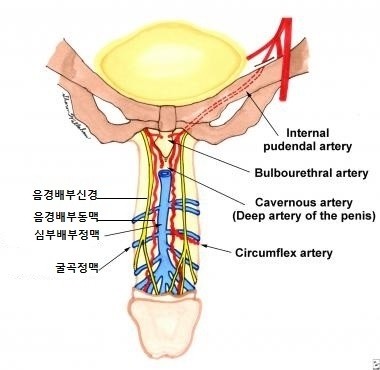 명동 준비뇨기과/중구 을지로 명동 준비뇨기과/중구 을지로