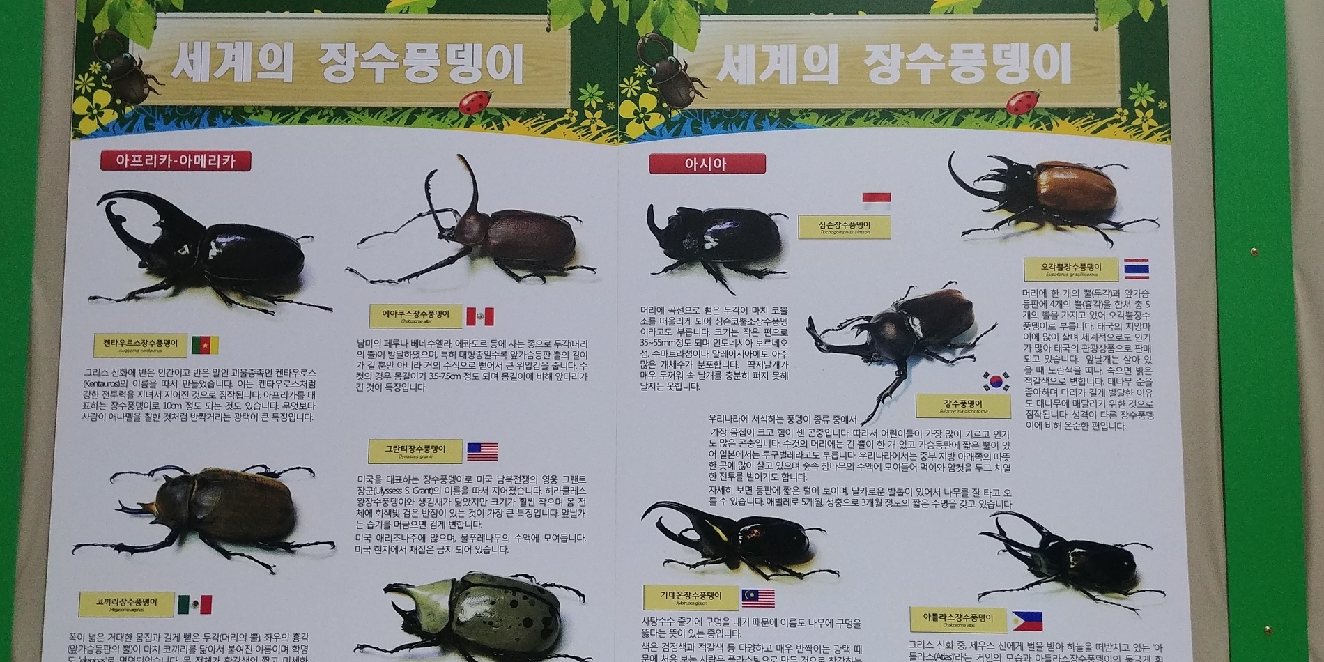 체험-꽃무지에 원팜