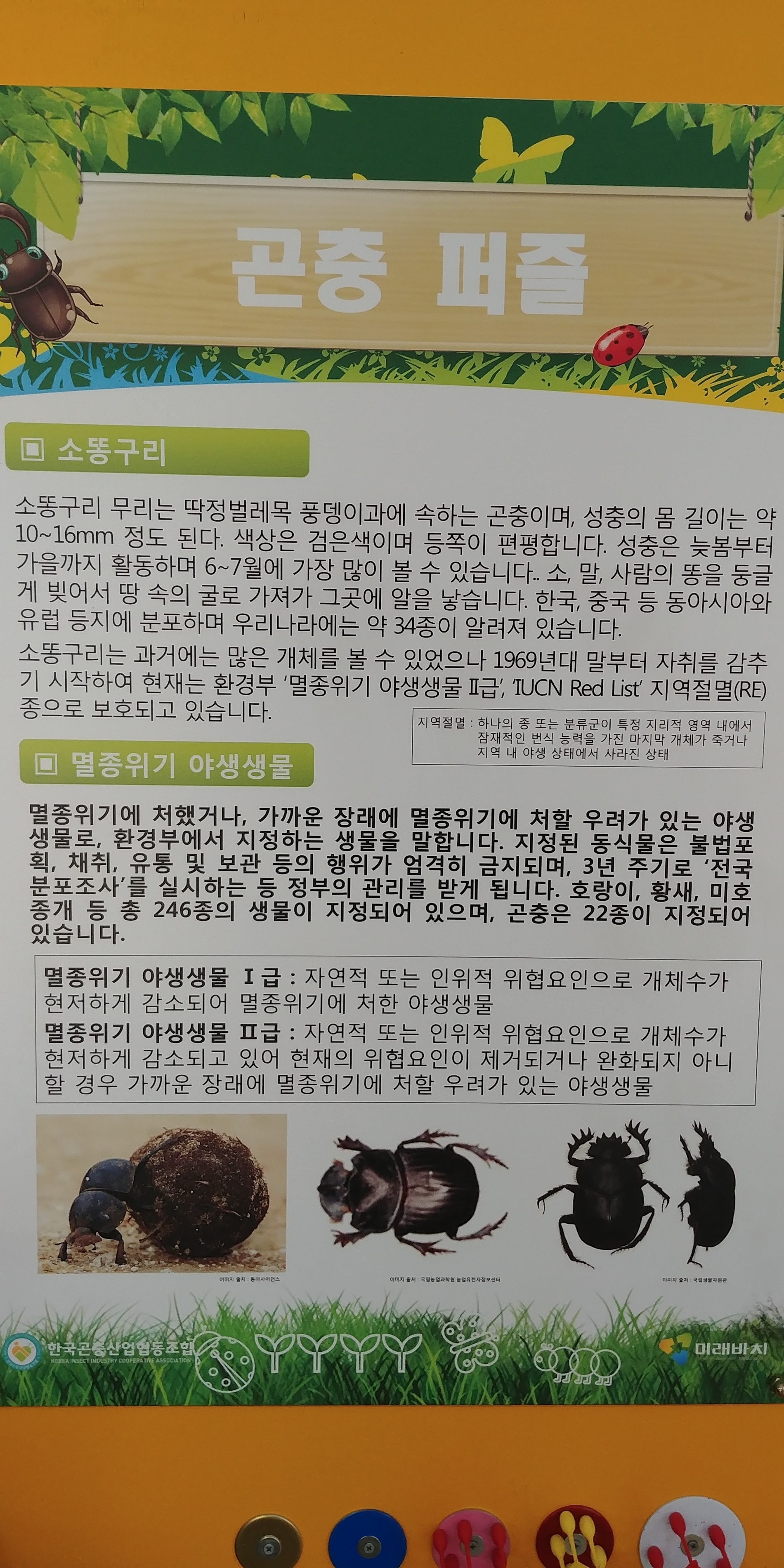 체험-꽃무지에 원팜