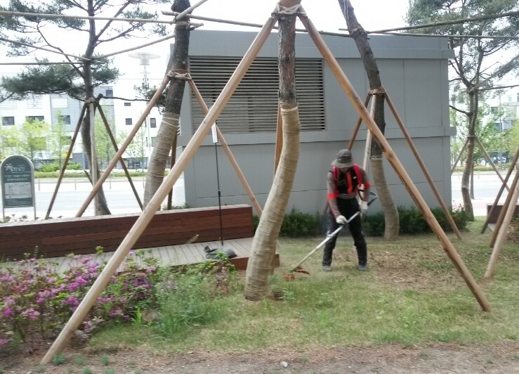 조경관리,정원관리,나무소독-조경공사 조경관리 전문업체