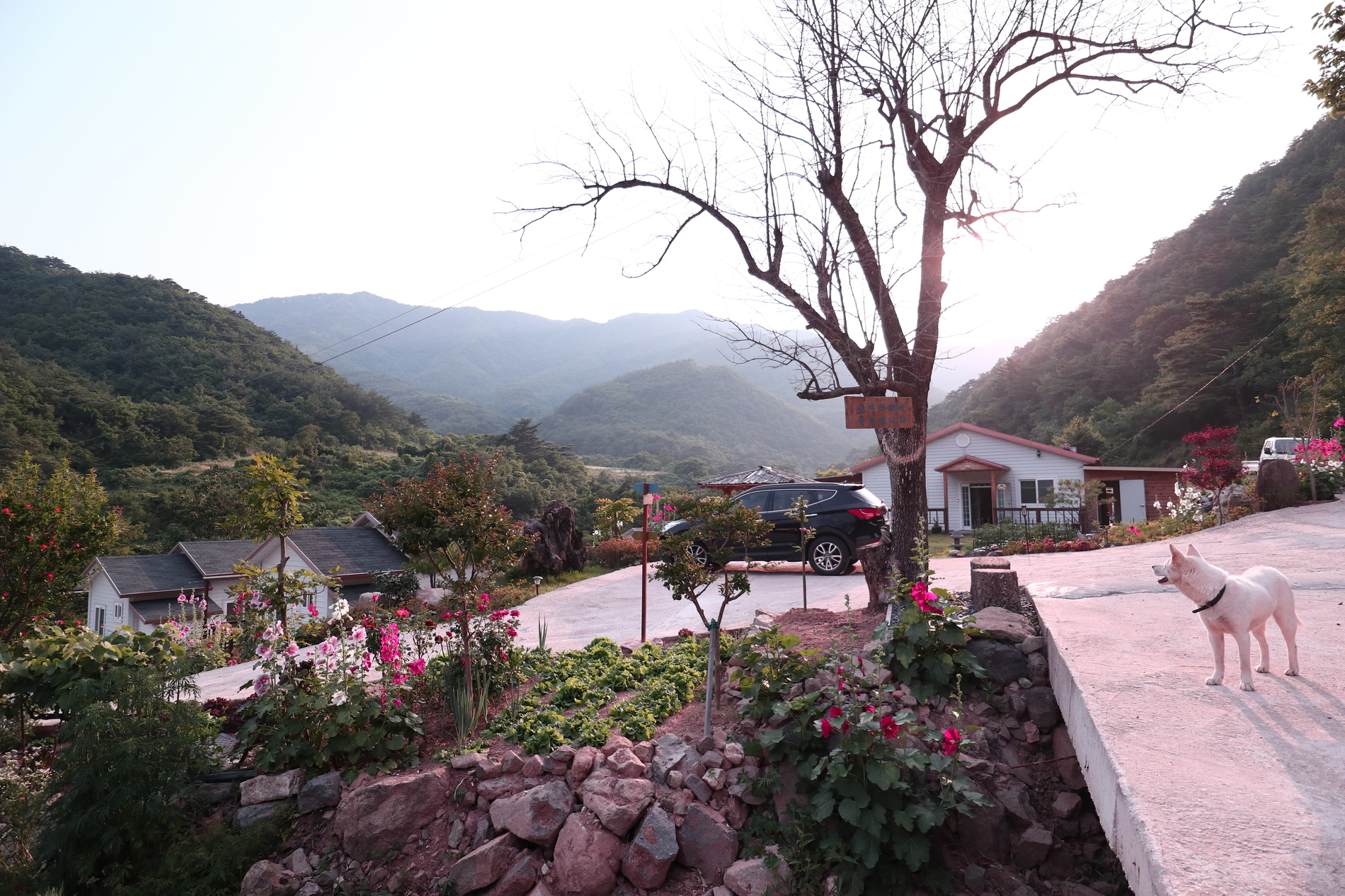 외부전경-산아래펜션