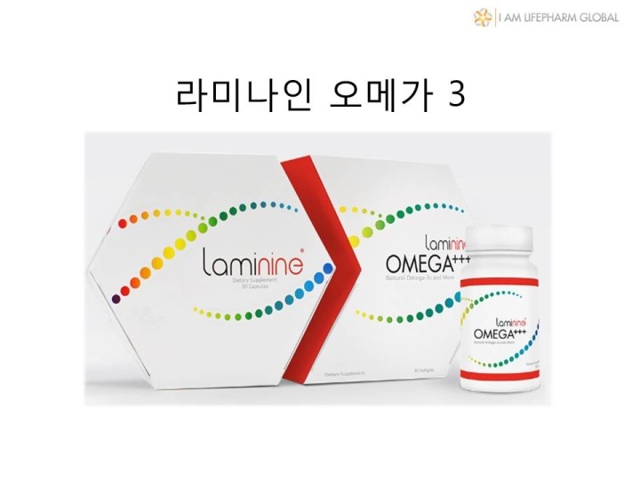 라미나인코리아