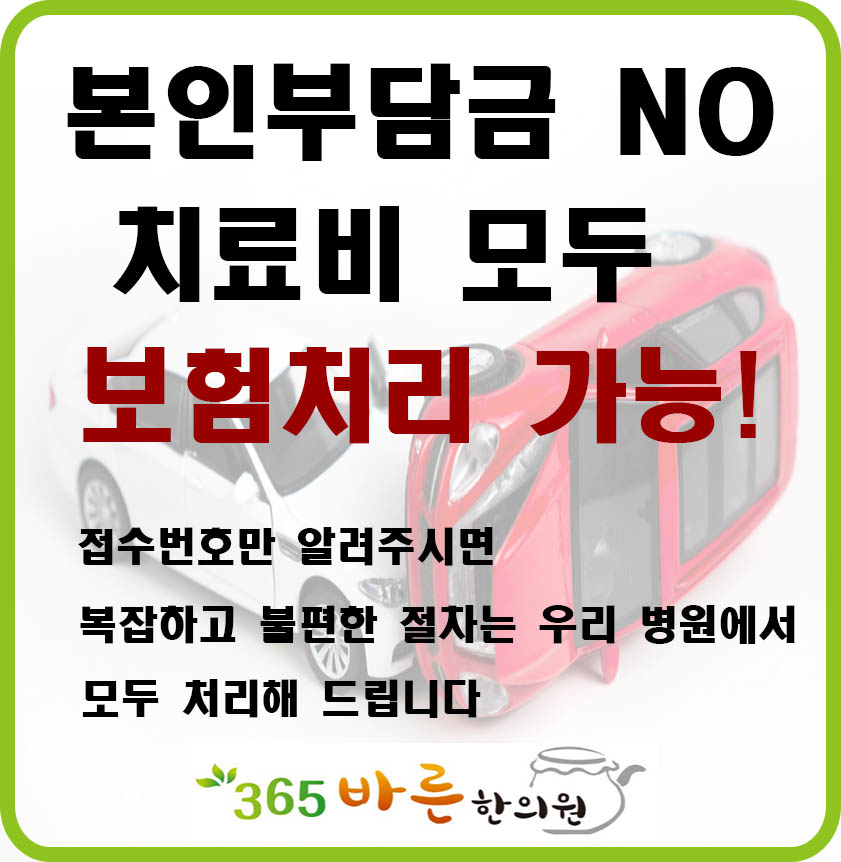 자동차사고보험,교통사고보험-365바른한의원