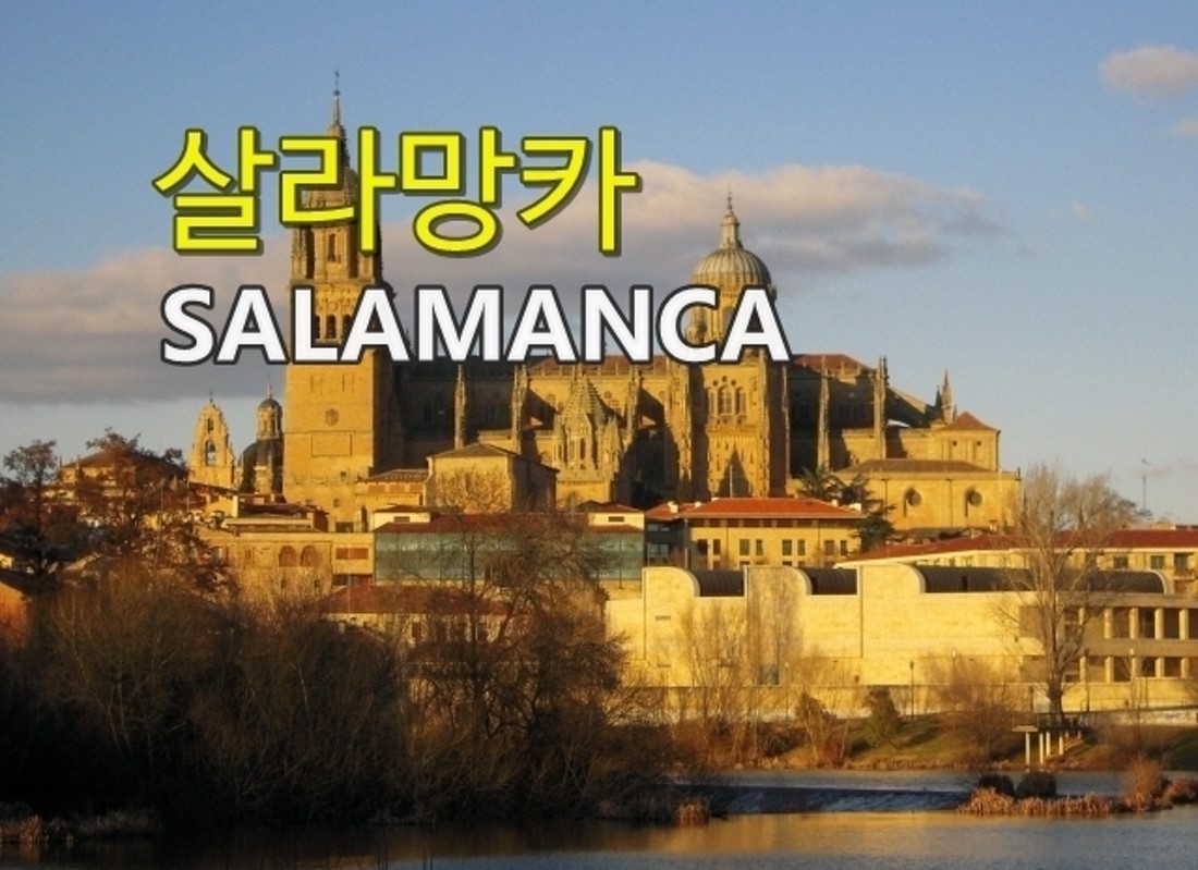 살라망카 (어학연수) | 에듀스페인유학원 살라망카 (어학연수) | 에듀스페인유학원