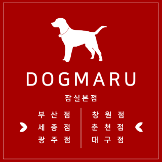 서울유기견보호센터 도그마루 서울유기견보호센터 도그마루