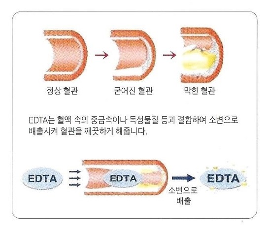 튼튼마디프로로의원 튼튼마디프로로의원