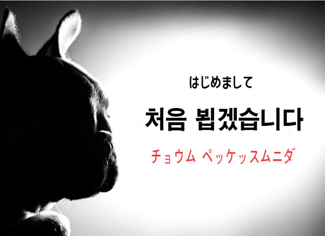 アリラン語学 広島 アリラン語学 広島