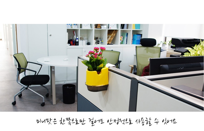 에덴미니팟소개-에덴미니팟