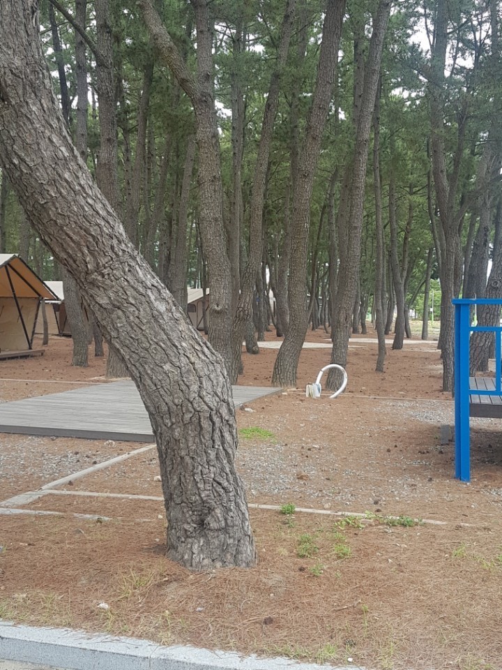 시설안내-구산오토캠핑장