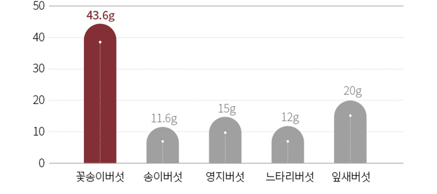 발효꽃송이버섯 천 | 발효현미꽃송이버섯과 핑크소금