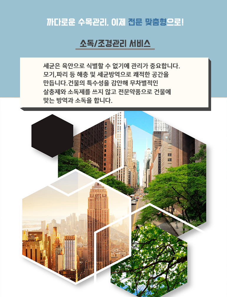 대양씨앤지(주)-스토어36.5 은평