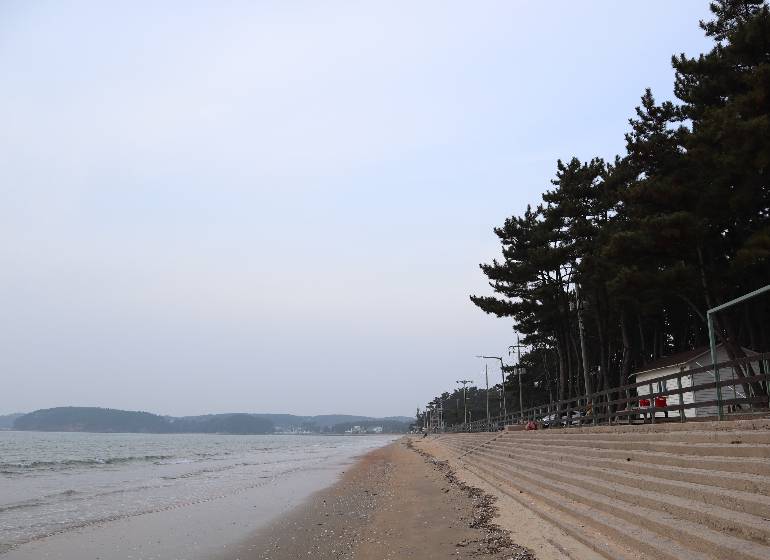 캠핑장소개-몽산포오토캠핑장 2구역
