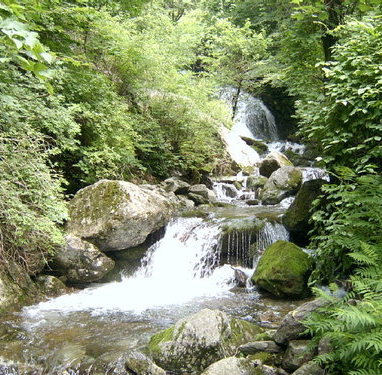 화악산-산내음 물내음 황토펜션