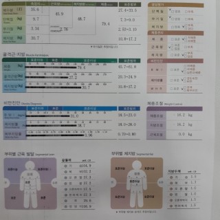 인바디 결과 자료 | 그린비바디쉐이핑 분평동 인바디 결과 자료 | 그린비바디쉐이핑 분평동