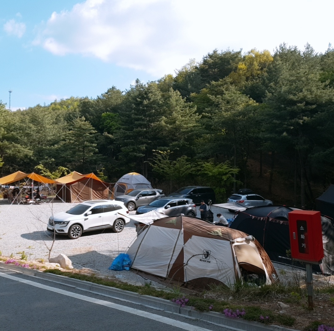오토캠핑 [파쇄석] 사이트-양평 다목적 캠핑장