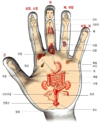 수강생모집-고려수지침 대전서남지회