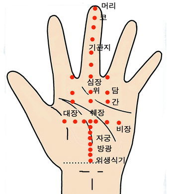 수강생모집-고려수지침 대전서남지회