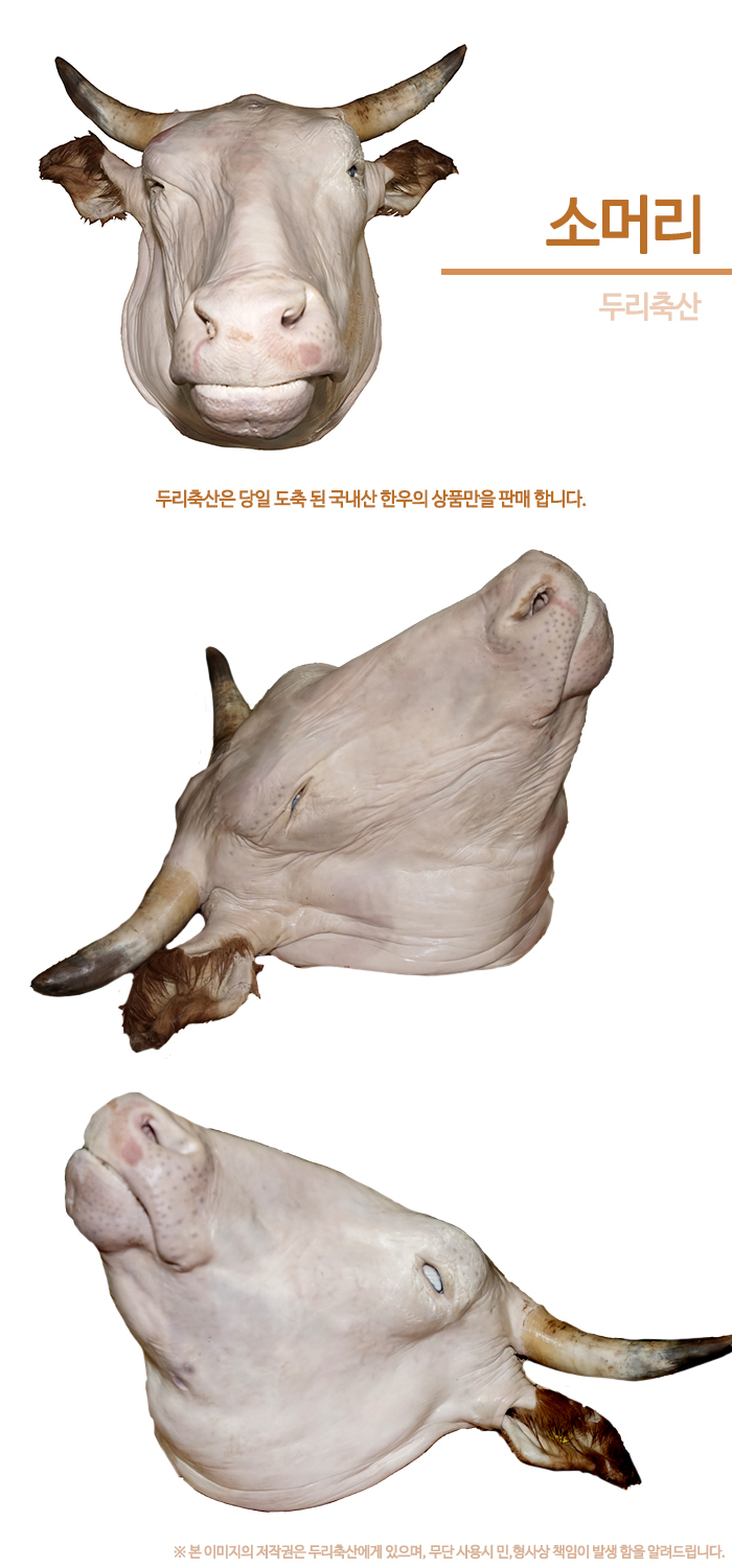  한우 소머리-두리축산