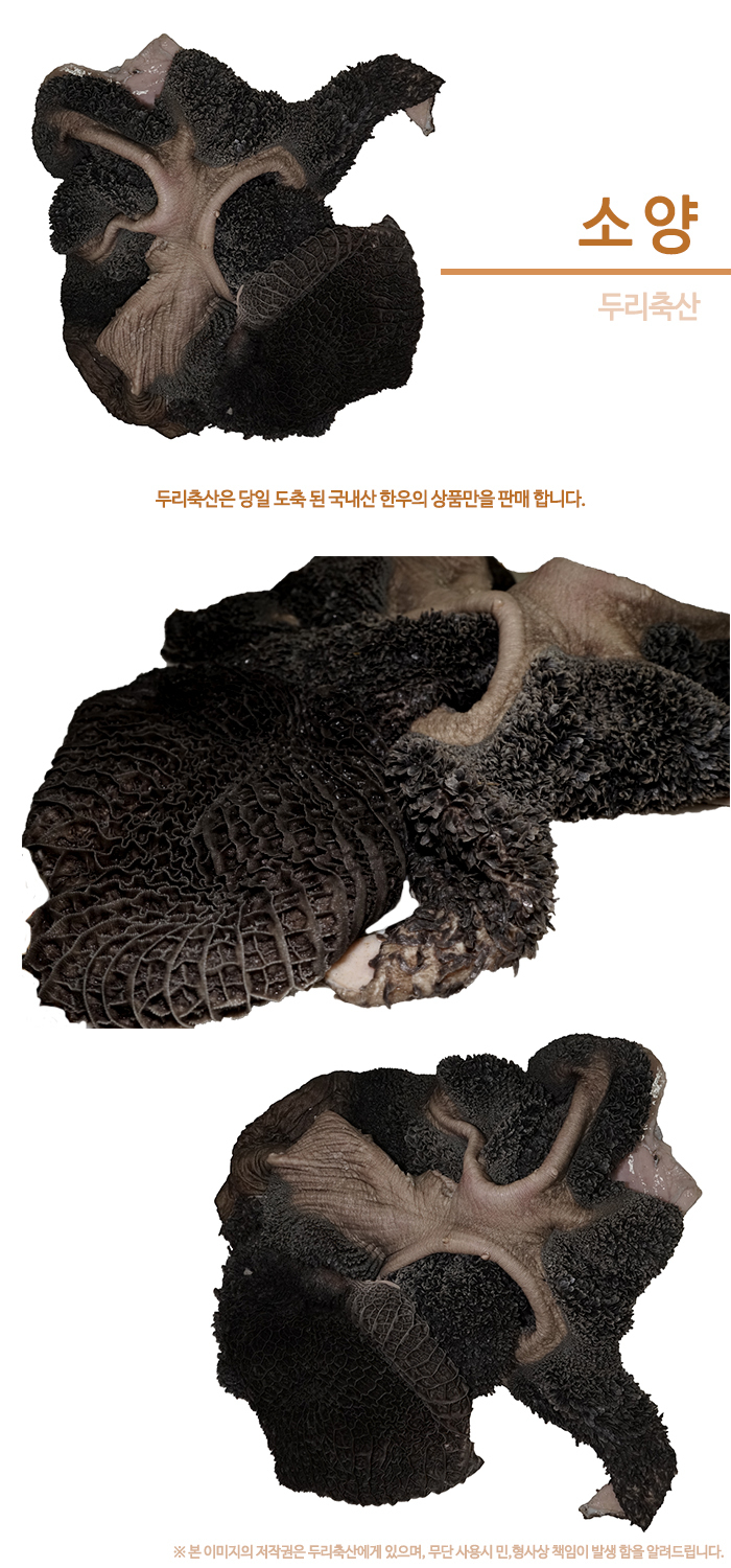 한우 소양-두리축산