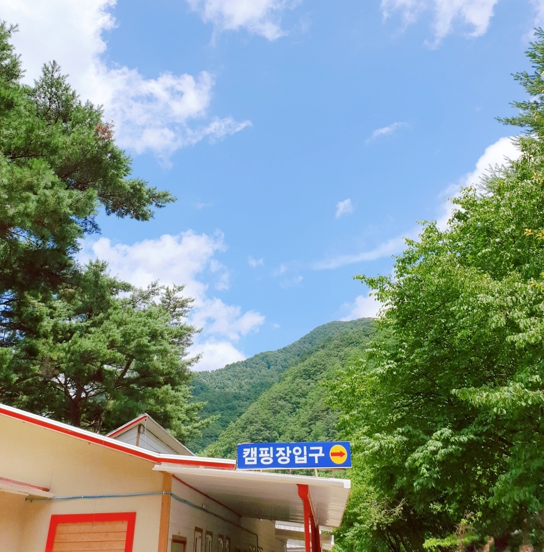 캠핑장소개-내린천솔밭힐링캠핑장