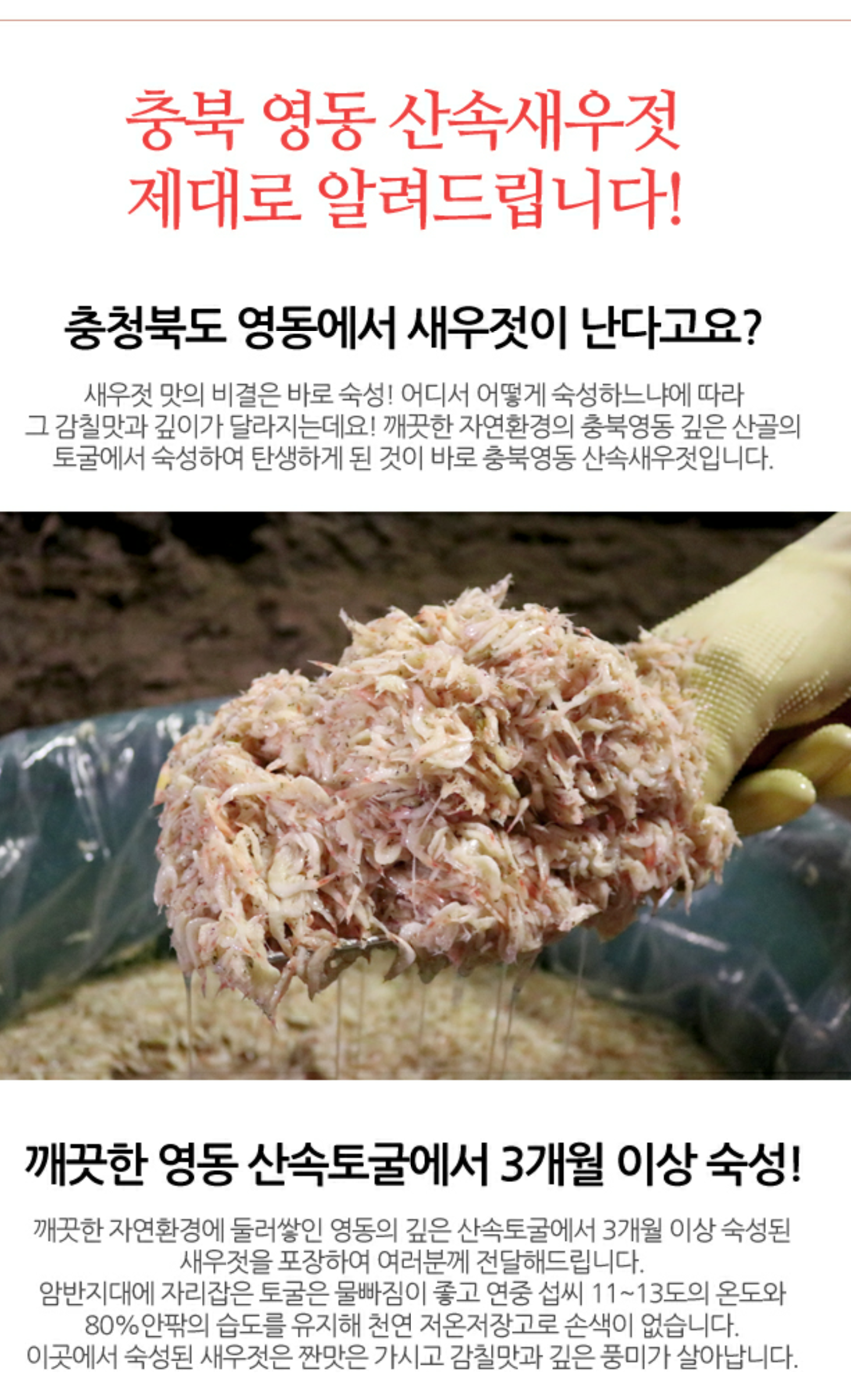 회사소개-산속새우젓