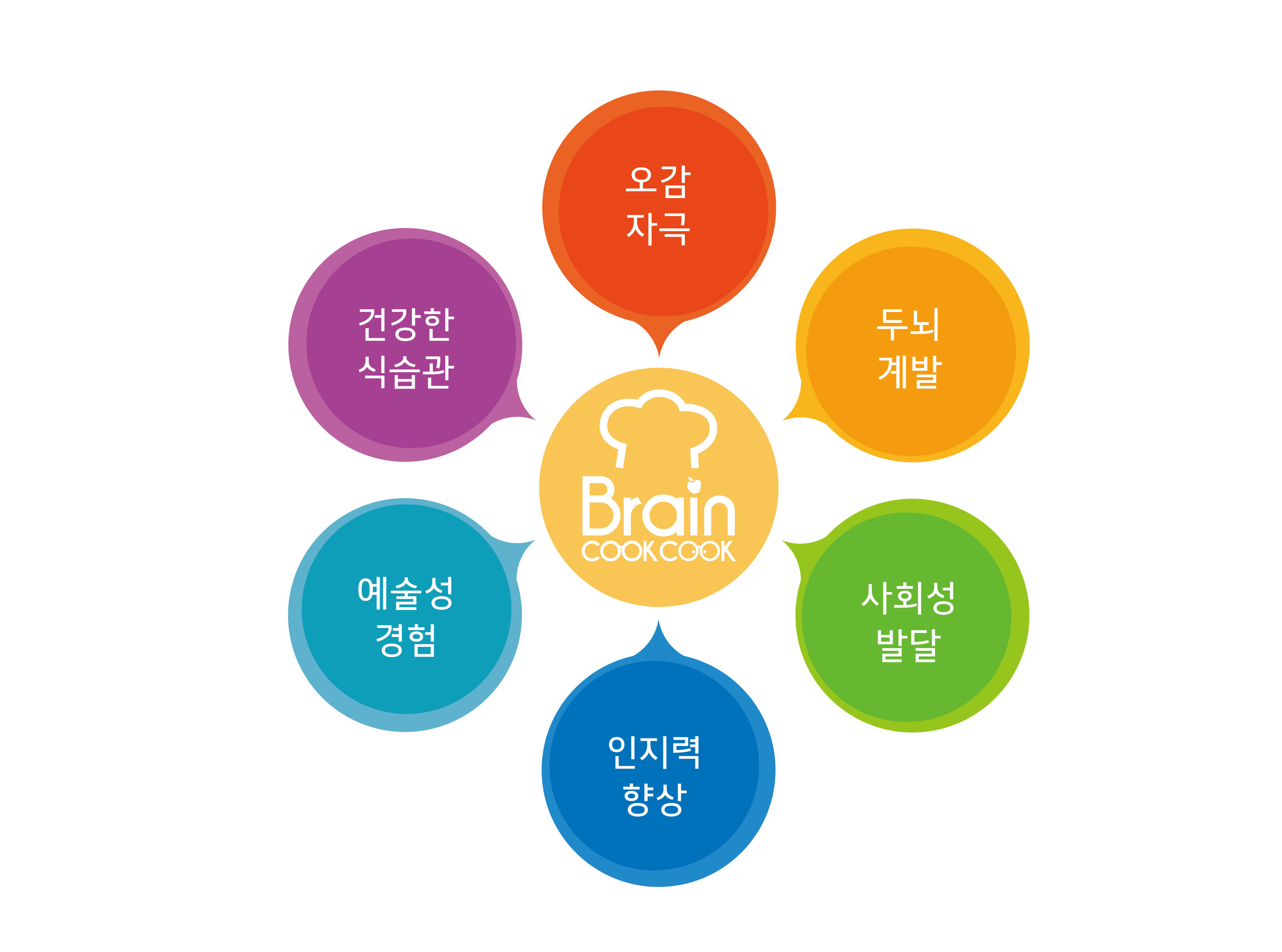 교육 과정-브레인쿡쿡