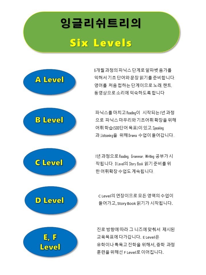교육 과정-잉글리쉬트리