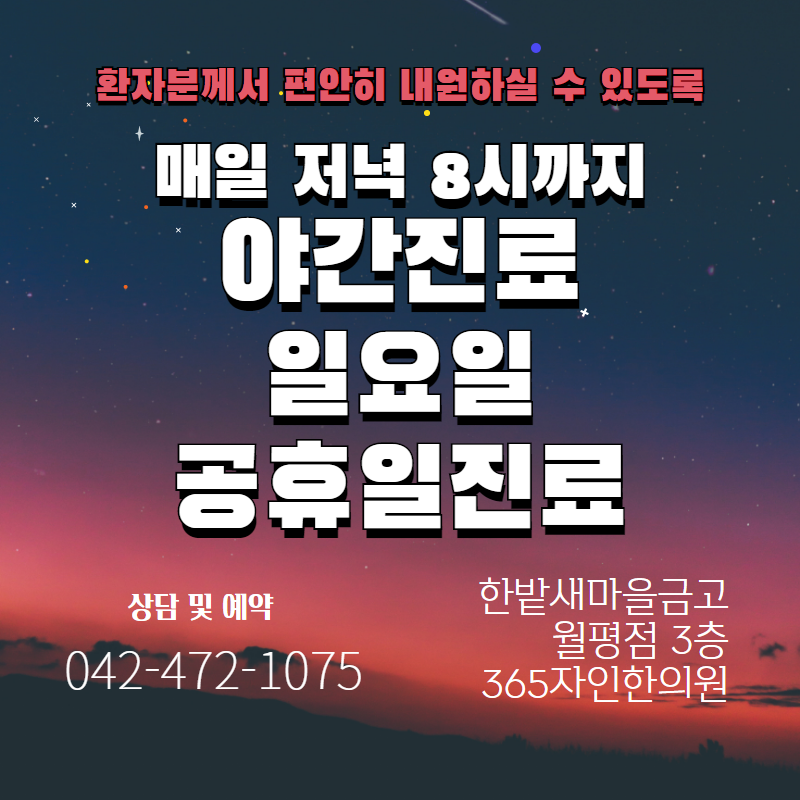 진료과목-365자인한의원