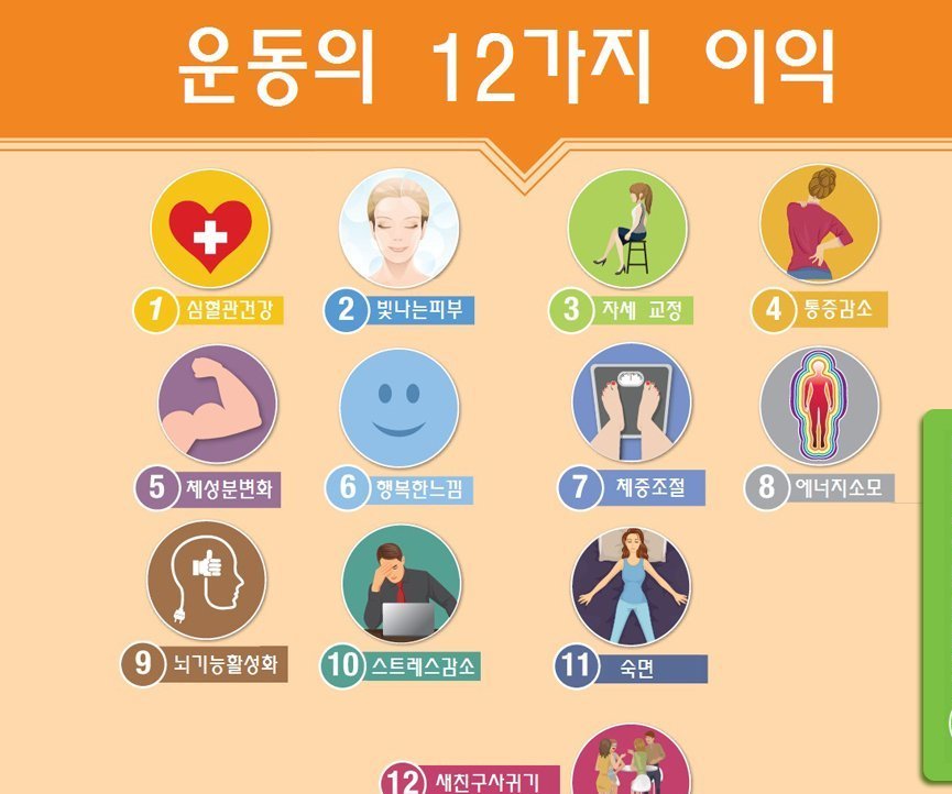 페이지-ms점핑클럽