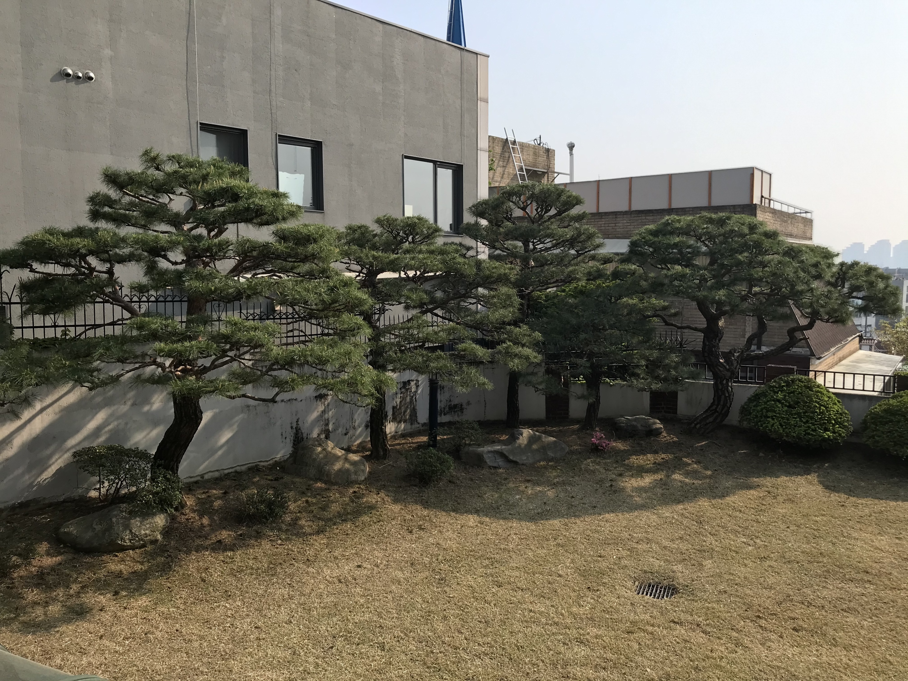 조경관리1-가나안조경