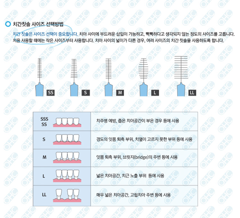 치간칫솔 사이즈 선택방법 | ohc칫솔샵 치간칫솔 사이즈 선택방법 | Ohc칫솔샵