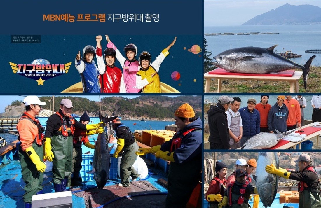통영문참치 이미지