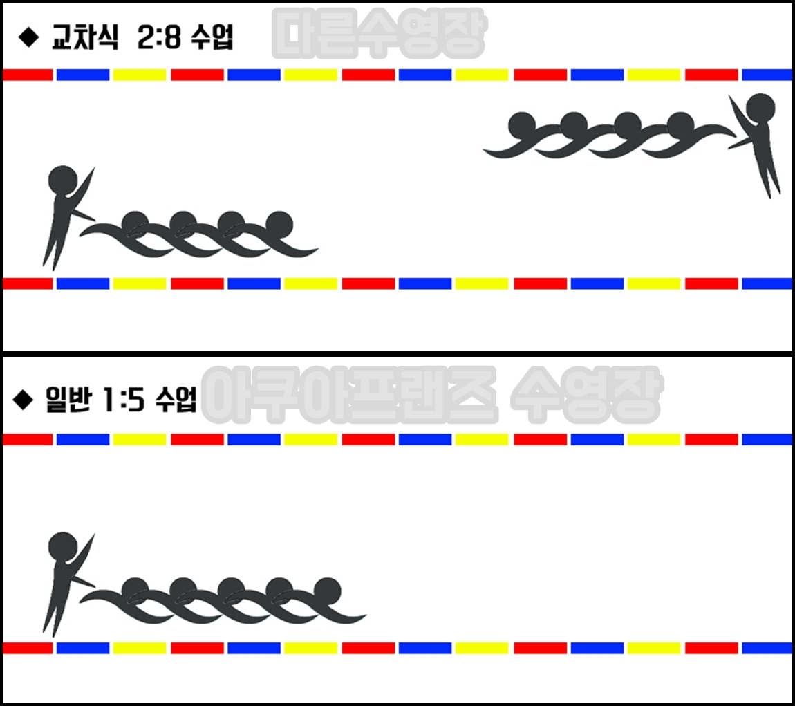 체계적인 수업-아쿠아프렌즈-어린이수영장