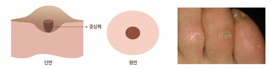 미르비뇨의학과의원 미르비뇨의학과의원