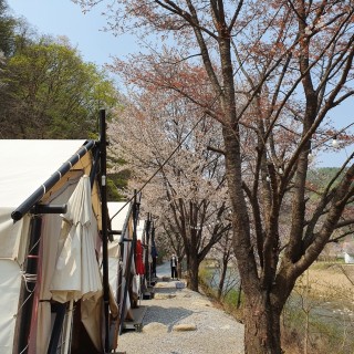 홈 | 하늘숲글램핑파크