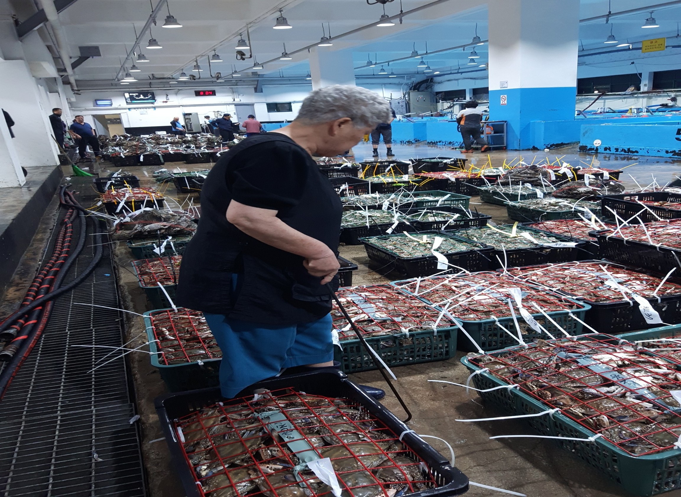 간장게장-황해도간장게장/젓갈