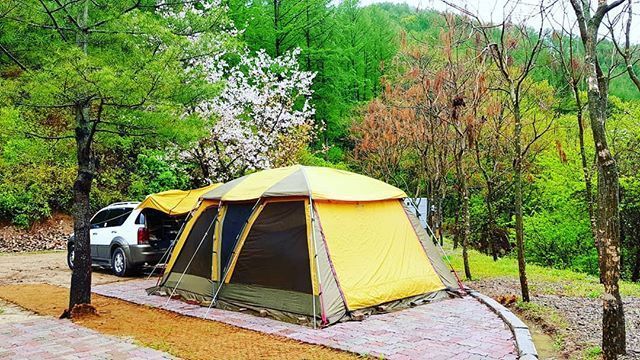 캠핑존 / 배치도 안내-쿵쿵소캠핑장