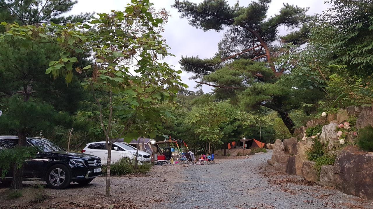 캠핑존 / 배치도 안내-쿵쿵소캠핑장