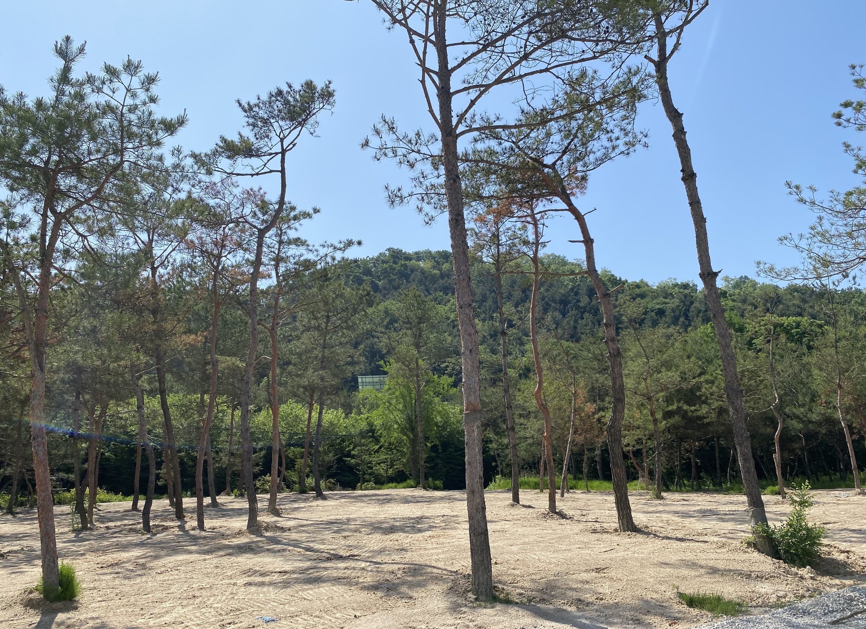 주변정보-양주 두리캠핑장