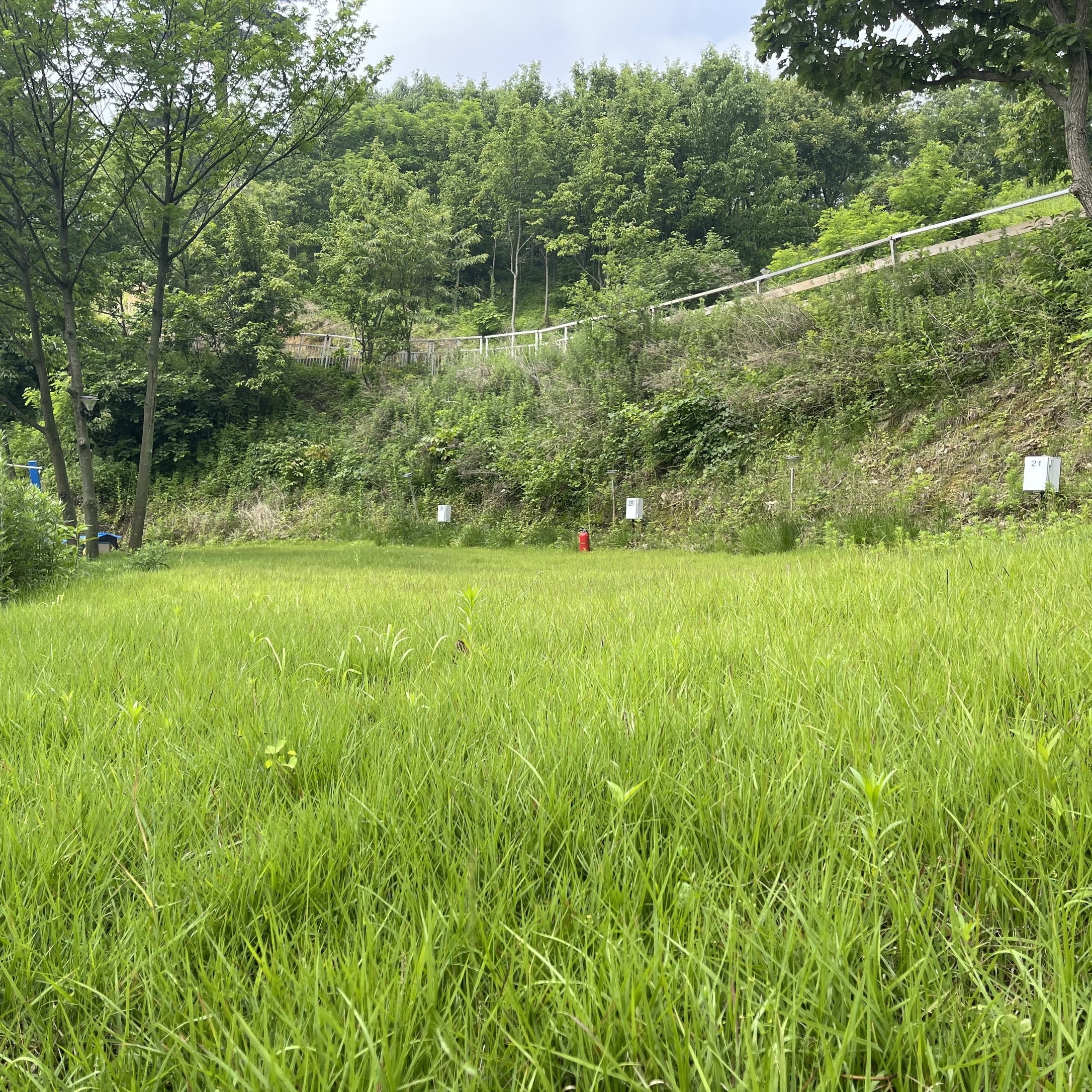 시설 안내-강화버팔로캠팜