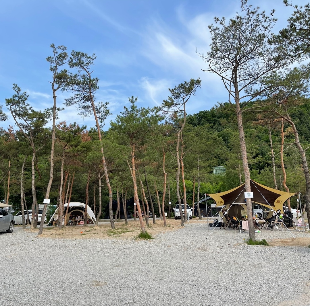 외부전경-양주 두리캠핑장