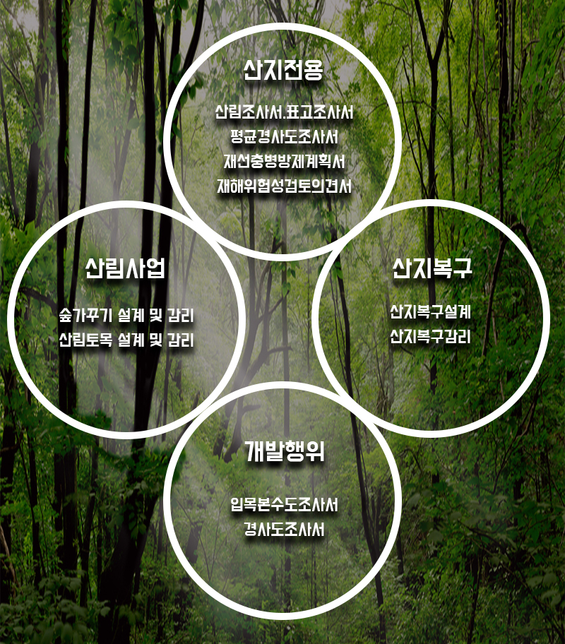 업무안내-세형토목산림엔지니어링