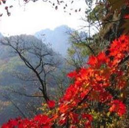 주변정보-동두천  산속에 캠핑장