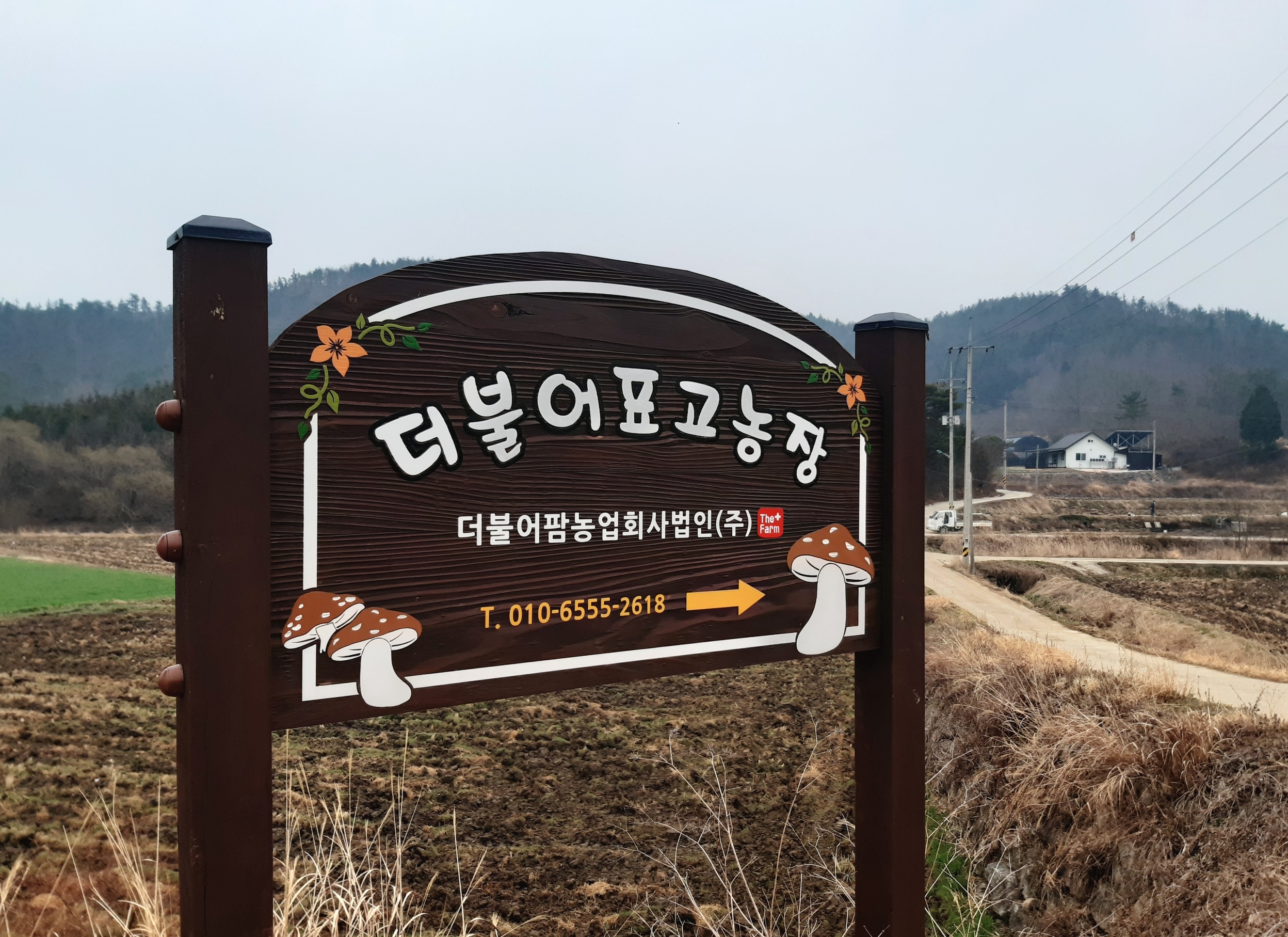 농장소개-더불어팜 농업회사법인(주)