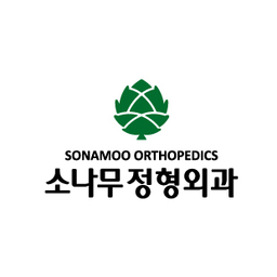 소나무 정형외과 의사 소나무 조형 술 11