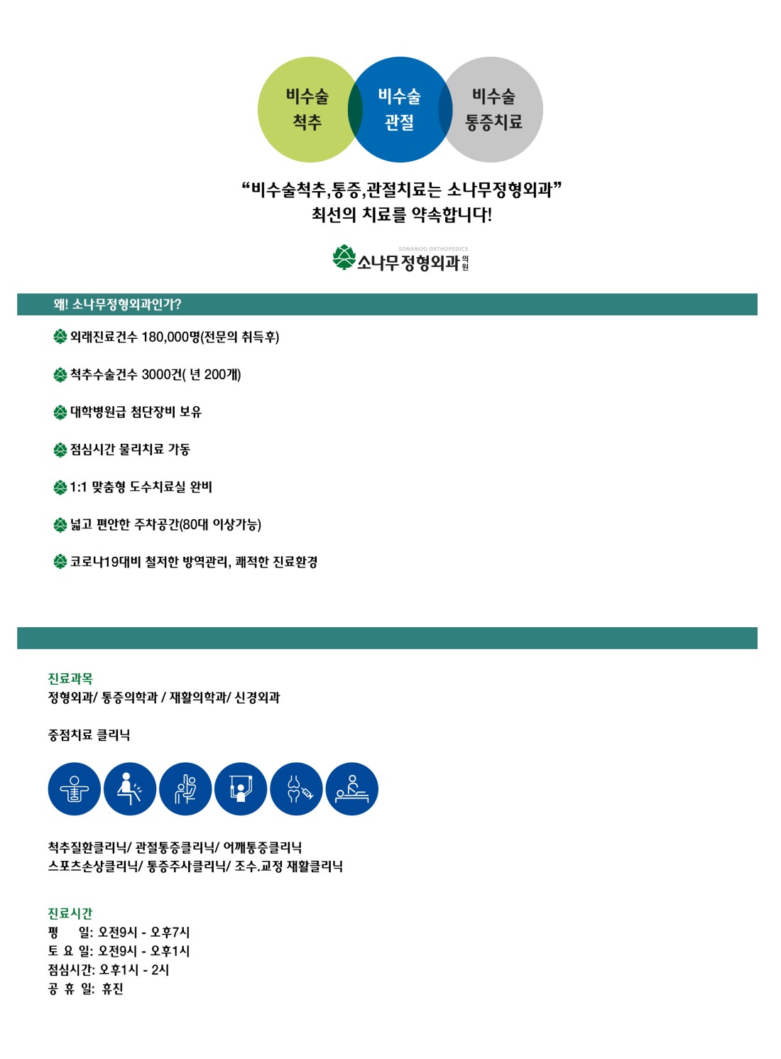 소나무 정형외과 의사 소나무 조형 술 13