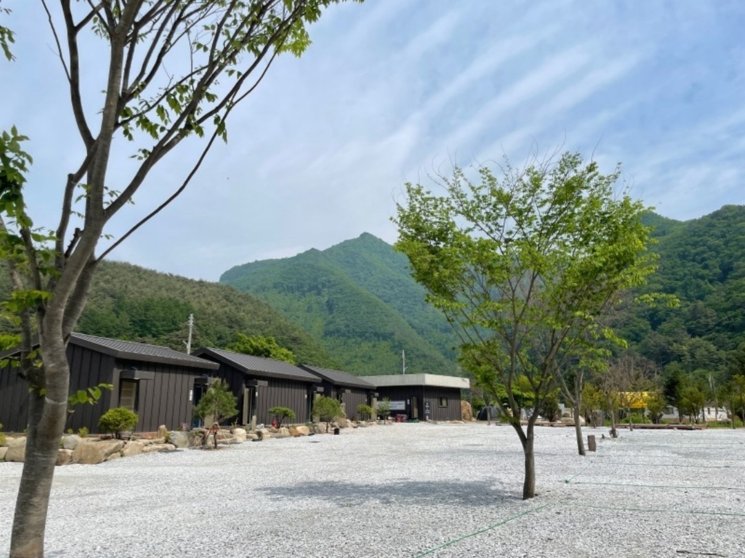 외부전경-정선 파인트리캠핑장