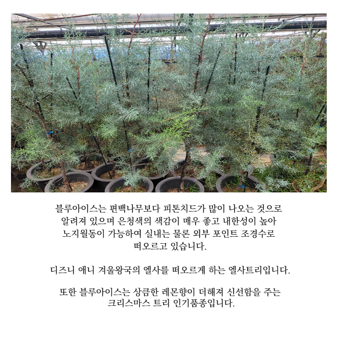 농장 소개-찬누리원(유)농업회사법인