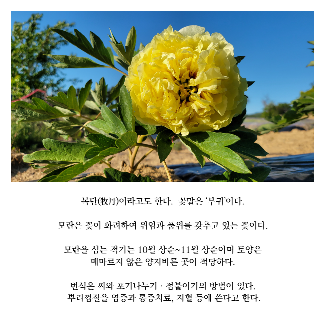 농장 소개-찬누리원(유)농업회사법인